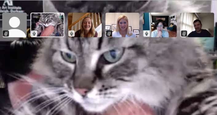 Screenshot a Rivers team member's cat during a video call